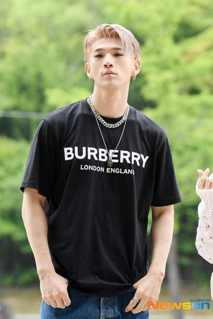 burberry tshirt kpop|burberry store online.